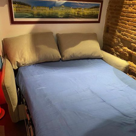 Petit Appartement Cosy تولوز المظهر الخارجي الصورة