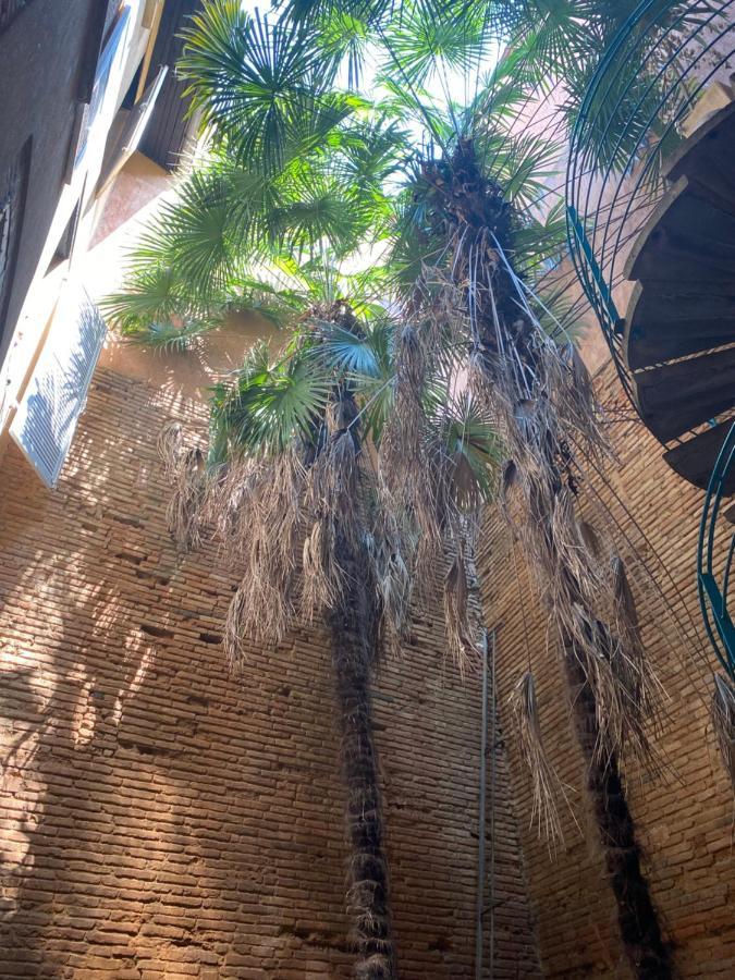 Petit Appartement Cosy تولوز المظهر الخارجي الصورة